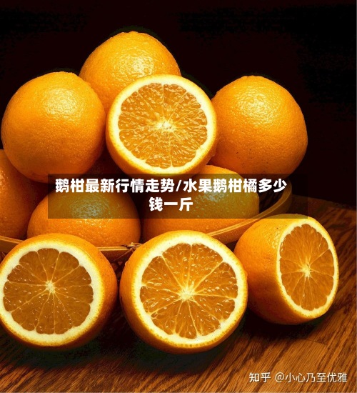 鹅柑最新行情走势/水果鹅柑橘多少钱一斤