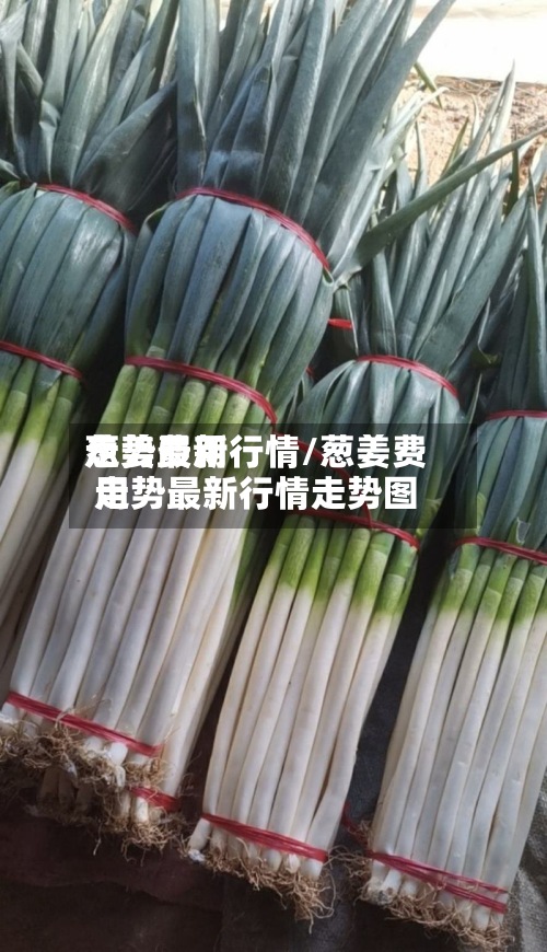 葱姜费用走势最新行情/葱姜费用走势最新行情走势图