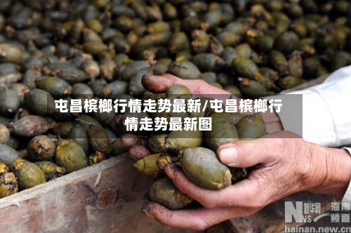 屯昌槟榔行情走势最新/屯昌槟榔行情走势最新图
