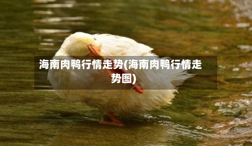 海南肉鸭行情走势(海南肉鸭行情走势图)-第2张图片
