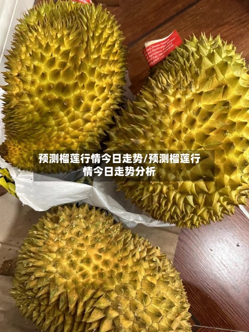 预测榴莲行情今日走势/预测榴莲行情今日走势分析-第2张图片