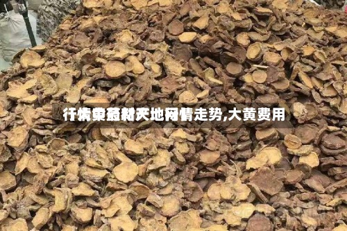 【大黄最新产地行情走势,大黄费用行情中药材天地网】