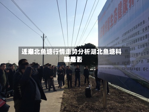 近来【湖北鱼塘行情走势分析湖北鱼塘科技是否骗局】