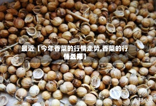 最近【今年香菜的行情走势,香菜的行情近来什么样】-第2张图片