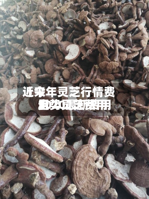 近来【今年灵芝行情费用走势灵芝费用2020最新费用】-第2张图片