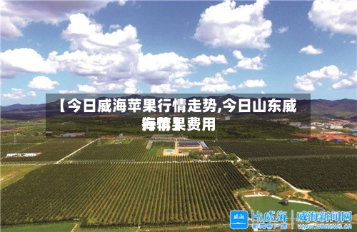 【今日威海苹果行情走势,今日山东威海苹果费用行情】-第2张图片