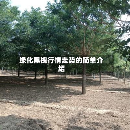 绿化黑槐行情走势的简单介绍