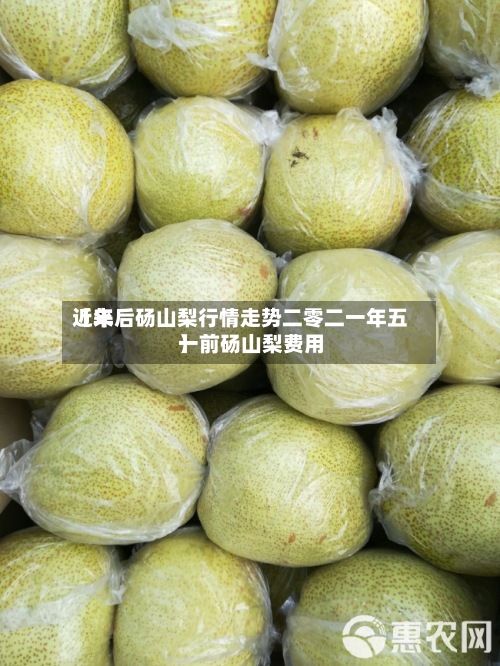 近来【年后砀山梨行情走势二零二一年五一前砀山梨费用】-第2张图片