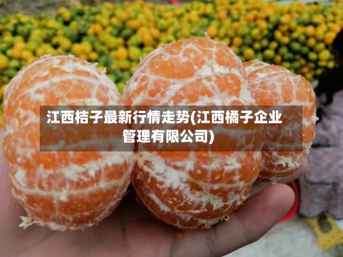 江西桔子最新行情走势(江西橘子企业管理有限公司)