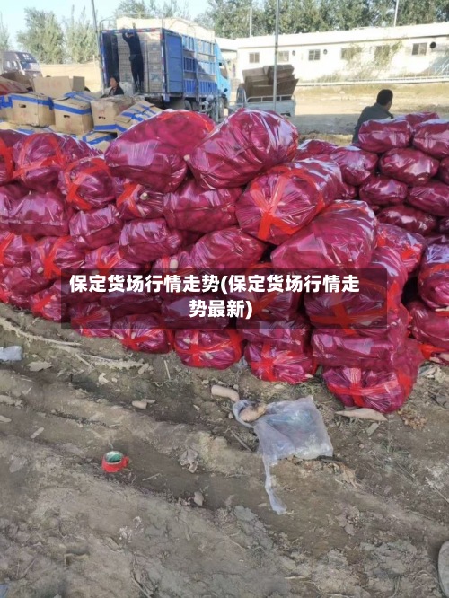 保定货场行情走势(保定货场行情走势最新)