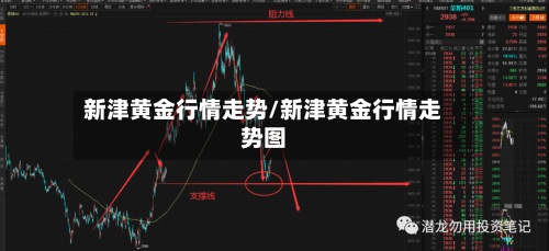 新津黄金行情走势/新津黄金行情走势图