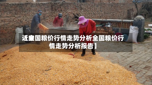 近来【全国粮价行情走势分析全国粮价行情走势分析报告】