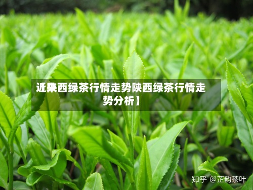 近来
【陕西绿茶行情走势陕西绿茶行情走势分析】-第2张图片