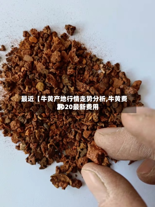 最近【牛黄产地行情走势分析,牛黄费用2020最新费用】