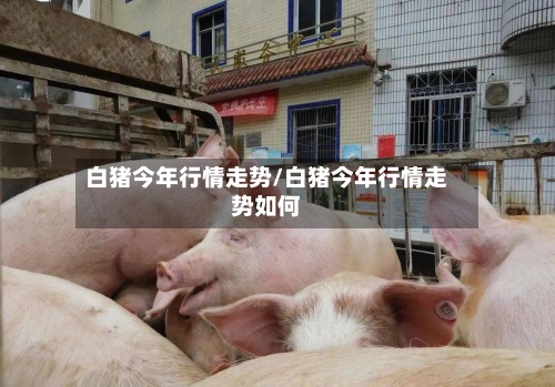 白猪今年行情走势/白猪今年行情走势如何