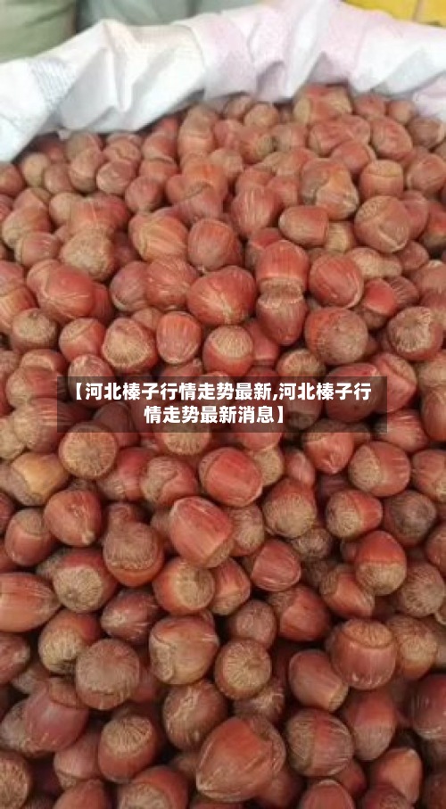 【河北榛子行情走势最新,河北榛子行情走势最新消息】-第2张图片