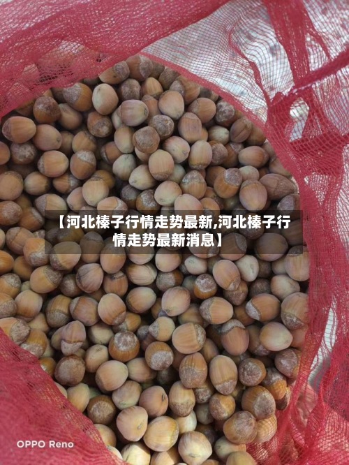 【河北榛子行情走势最新,河北榛子行情走势最新消息】-第3张图片