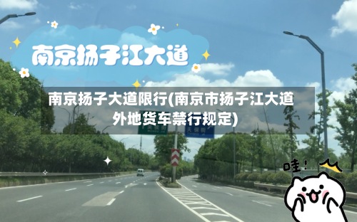 南京扬子大道限行(南京市扬子江大道外地货车禁行规定)