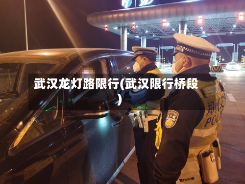 武汉龙灯路限行(武汉限行桥段)-第2张图片