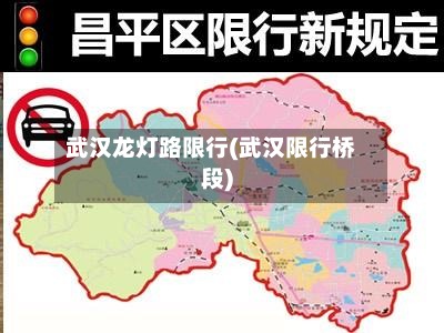 武汉龙灯路限行(武汉限行桥段)-第3张图片