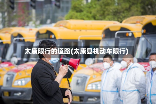 太康限行的道路(太康县机动车限行)-第2张图片