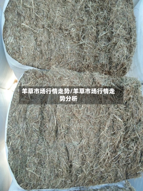 羊草市场行情走势/羊草市场行情走势分析-第2张图片