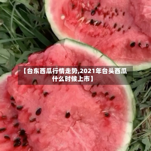 【台东西瓜行情走势,2021年台头西瓜什么时候上市】-第2张图片