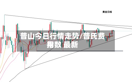 普山今日行情走势/普氏费用指数 最新