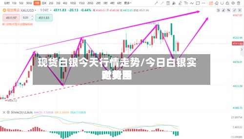 现货白银今天行情走势/今日白银实时费用走势图