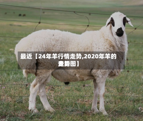 最近【24年羊行情走势,2020年羊的费用
走势图】-第2张图片