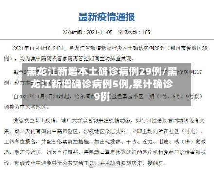 黑龙江新增本土确诊病例29例/黑龙江新增确诊病例5例,累计确诊9例