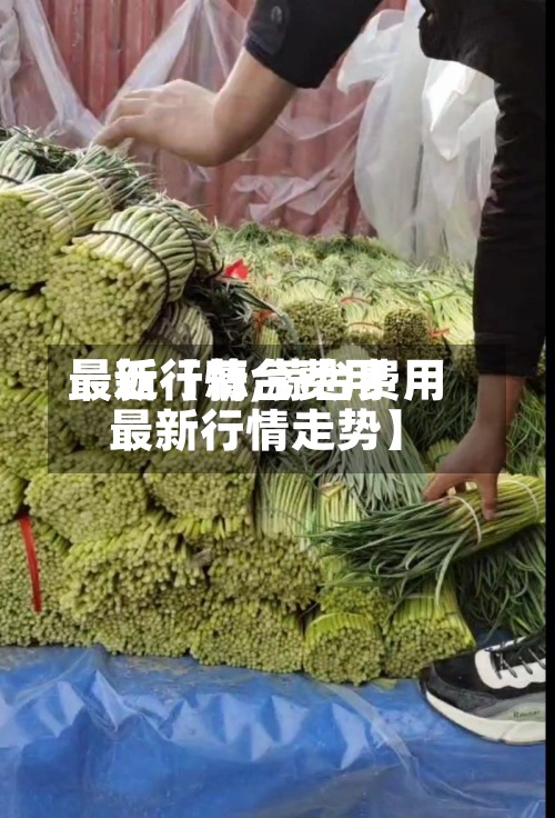 最近【蒜台费用最新行情,蒜台费用最新行情走势】-第2张图片