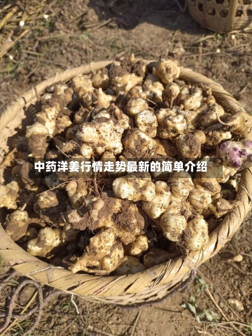 中药洋姜行情走势最新的简单介绍