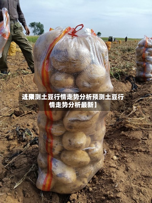近来【预测土豆行情走势分析预测土豆行情走势分析最新】-第2张图片