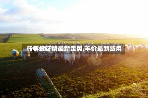 【羊价行情最新走势,羊价最新费用行情2021】