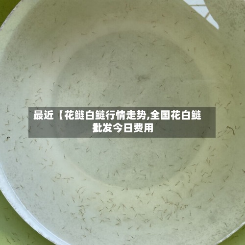 最近【花鲢白鲢行情走势,全国花白鲢批发今日费用】-第2张图片