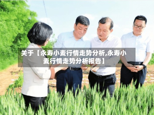关于【永寿小麦行情走势分析,永寿小麦行情走势分析报告】