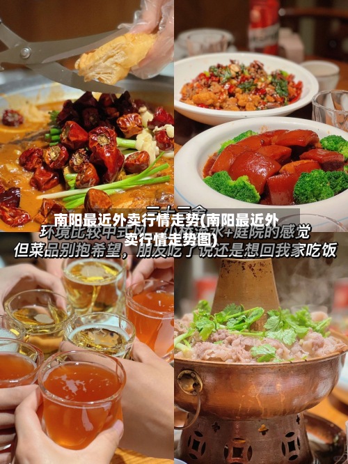 南阳最近外卖行情走势(南阳最近外卖行情走势图)-第2张图片