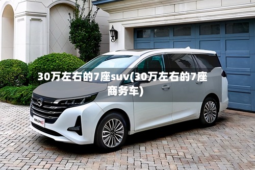 30万左右的7座suv(30万左右的7座商务车)