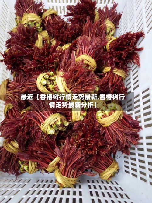 最近【香椿树行情走势最新,香椿树行情走势最新分析】