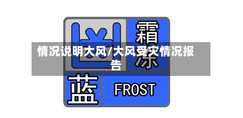 情况说明大风/大风受灾情况报告-第2张图片