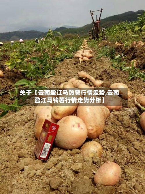 关于【云南盈江马铃薯行情走势,云南盈江马铃薯行情走势分析】