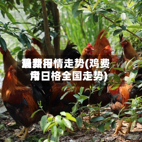 鸡费用最新行情走势(鸡费用今日格全国走势)
