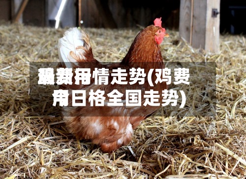 鸡费用最新行情走势(鸡费用今日格全国走势)-第2张图片