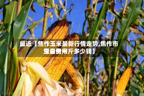 最近【焦作玉米最新行情走势,焦作市玉米费用今日价一斤多少钱】-第3张图片
