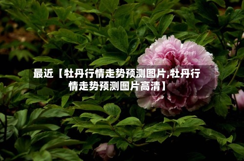 最近【牡丹行情走势预测图片,牡丹行情走势预测图片高清】