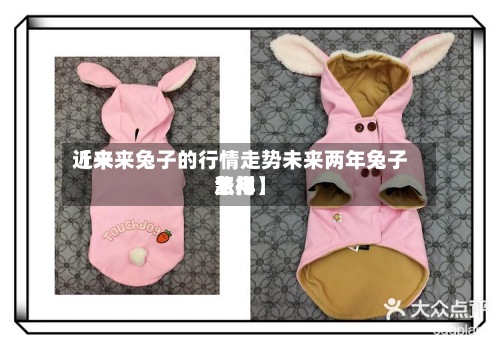 近来【未来兔子的行情走势未来两年兔子费用怎样】-第2张图片