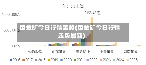 钼金矿今日行情走势(钼金矿今日行情走势最新)-第2张图片