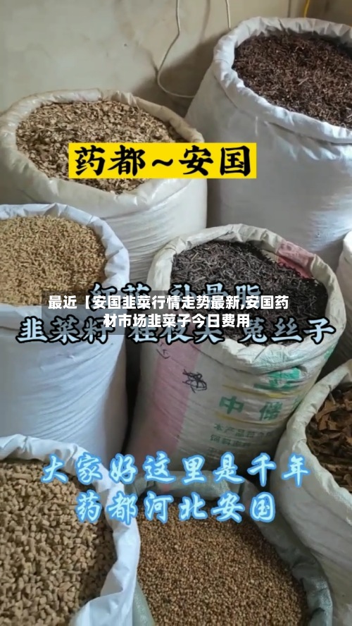 最近【安国韭菜行情走势最新,安国药材市场韭菜子今日费用】-第2张图片