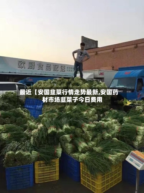 最近【安国韭菜行情走势最新,安国药材市场韭菜子今日费用】